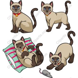 Siamese Cat Pack