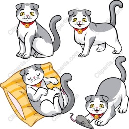 Playful Scottish Fold Cat Collection