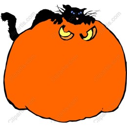 Black Cat atop Pumpkin