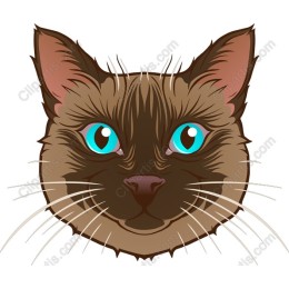 Charming Cat Face
