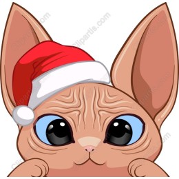 Cute Christmas Cat with Santa Hat