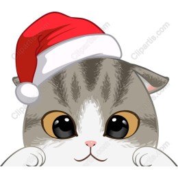 Festive Kitten with Santa Hat