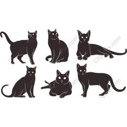 Six Stylish Black Cat