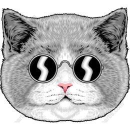 Stylish Cat in Sunglasses