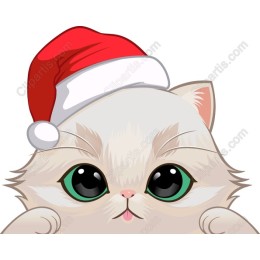 Festive Cat in Santa Hat