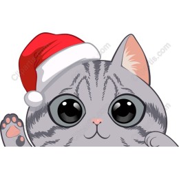 Festive Kitten in Santa Hat