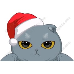 Christmas Cat