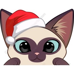 Christmas Cat with Santa Hat