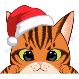 Festive Cat with Santa Hat