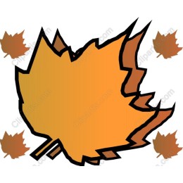 Vibrant Autumn Leaves