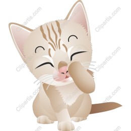 Charming Cat