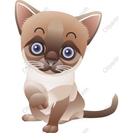 Cute Cartoon Cat