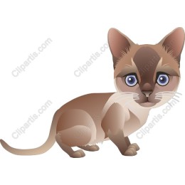 Charming Cat