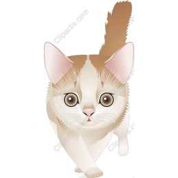 Charming Cat