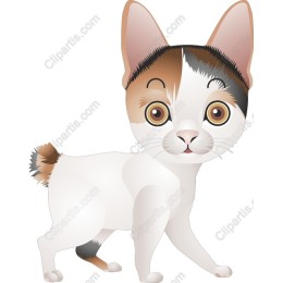 Adorable Playful Cat