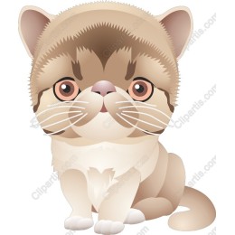 Charming Cartoon Cat