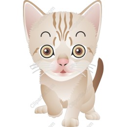 Adorable Kitten
