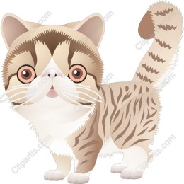 Charming Cat
