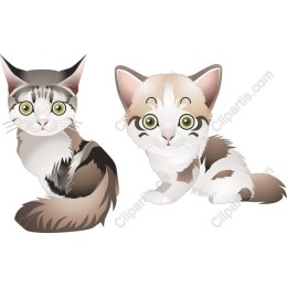Playful Cat Duo
