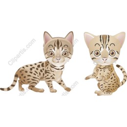 Playful Cartoon Cat
