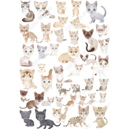 Cute Cat Clipart Bundle