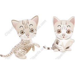 Cute Cartoon Kittens