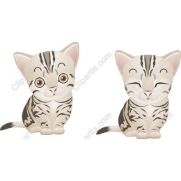 Cute Kittens Set