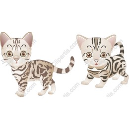 Playful Kittens