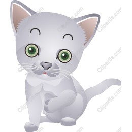 Adorable Gray Kitten