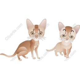 Charming Kitten