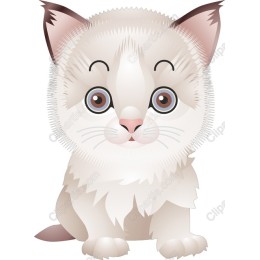 Fluffy Kitten