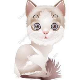Playful Kitten