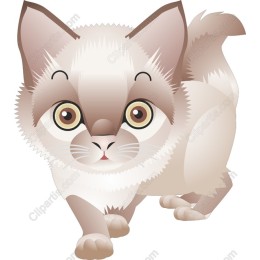 Adorable Kitty