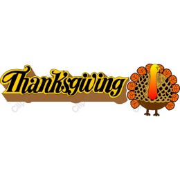 Thanksgiving Turkey