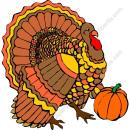 Thanksgiving Turkey with Pumpkin