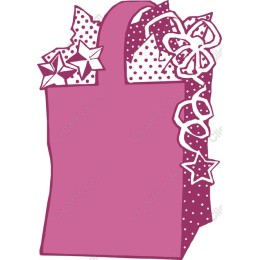 Charming Pink Gift Bag