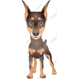 Charming Dog
