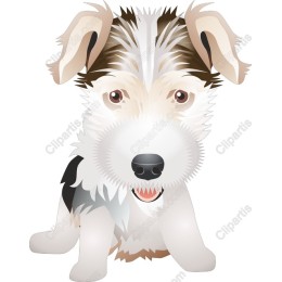 Adorable Dog