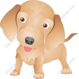 Playful Golden Puppy