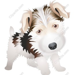 Cute Playful Dog