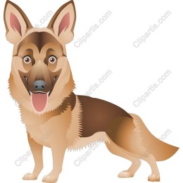German Shepherd