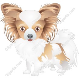 Charming Chihuahua