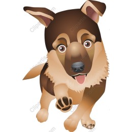 Charming German Shepherd Puppy