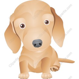 Charming Puppy