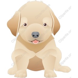 Charming Puppy