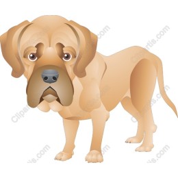 Charming Dog