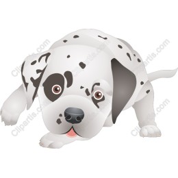 Playful Puppy