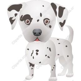 Charming Dalmatian Puppy