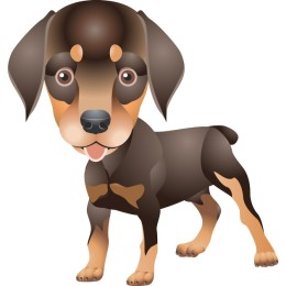 Charming Dog