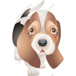 Adorable Beagle